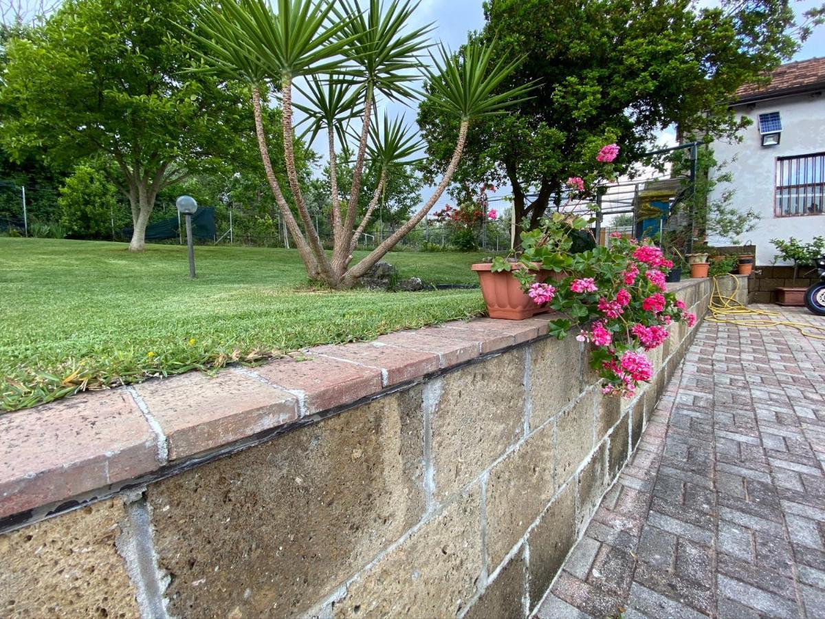 A Casa Di Nonna Emilia Bed and Breakfast Campagna Buitenkant foto